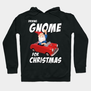 Driving Gnome Hoodie